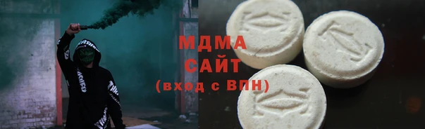 индика Вяземский