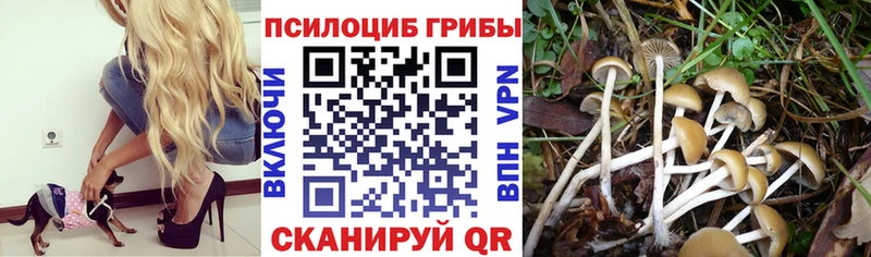 Галлюциногенные грибы GOLDEN TEACHER  Нариманов 